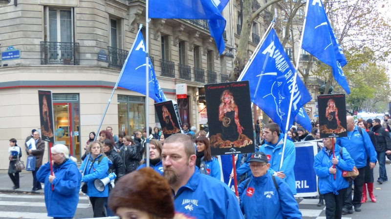 13 - Marche Contre La Fourrure - Paris 24 novembre 2012. 530738P1010695
