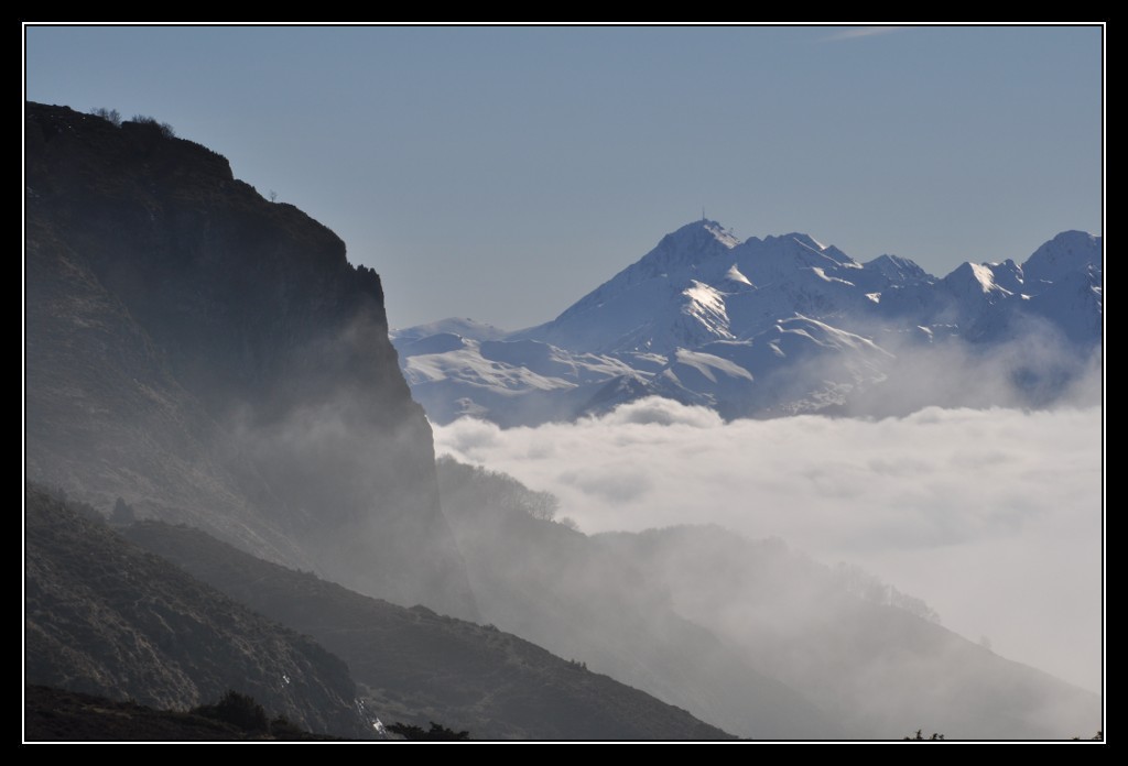 Une vie pyrénéenne de labrit des pyrénées - Page 3 530740sou0142