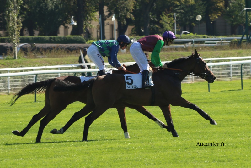 Photos Auteuil 24-09-2016 5346565J6A6844