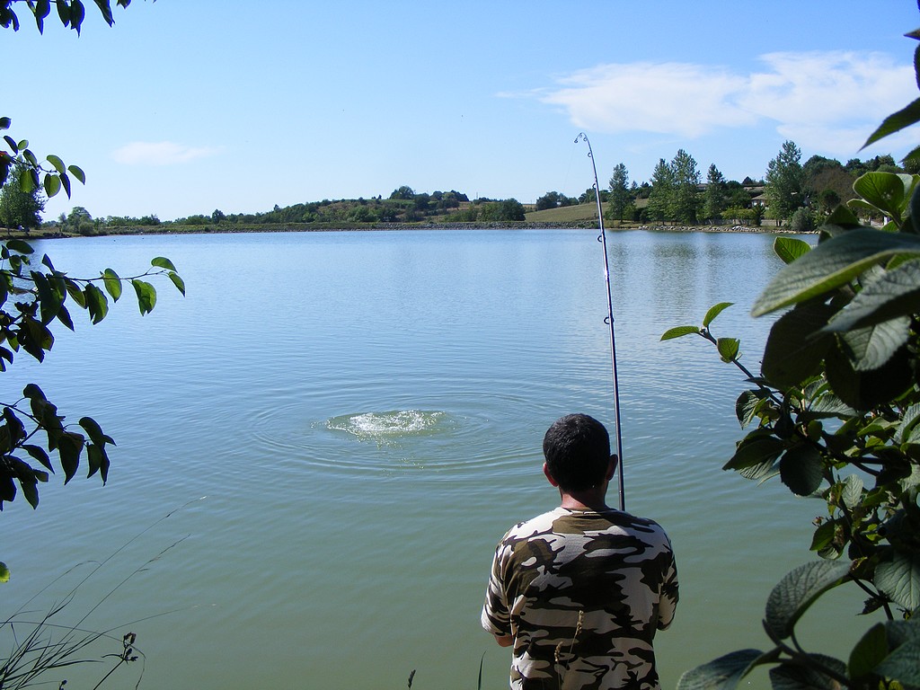 Le lauraguais ça à du bon ! 5353185817