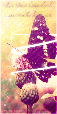 Butterfly Art' [Open 0/1] 537783Avapillon