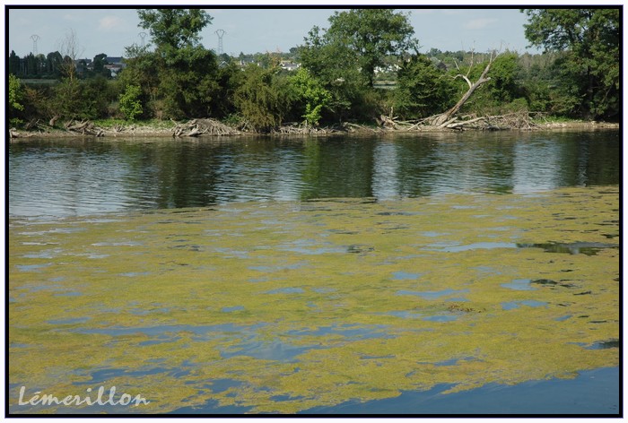 Restera t-il de l'eau dans le Cher 538006resteratildeleau4