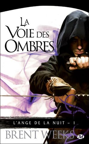 Trilogie L'ange de la nuit de Brent Weeks 539786Lavoiedesombres