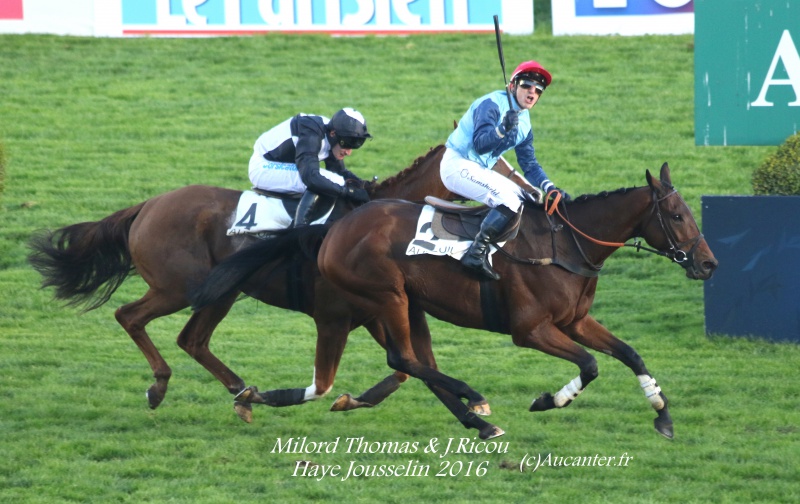 Photos Auteuil 6-11-2016 5475665J6A0721