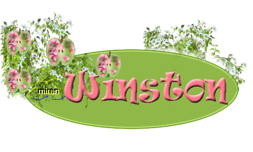 Nombres con W 5511882Winston