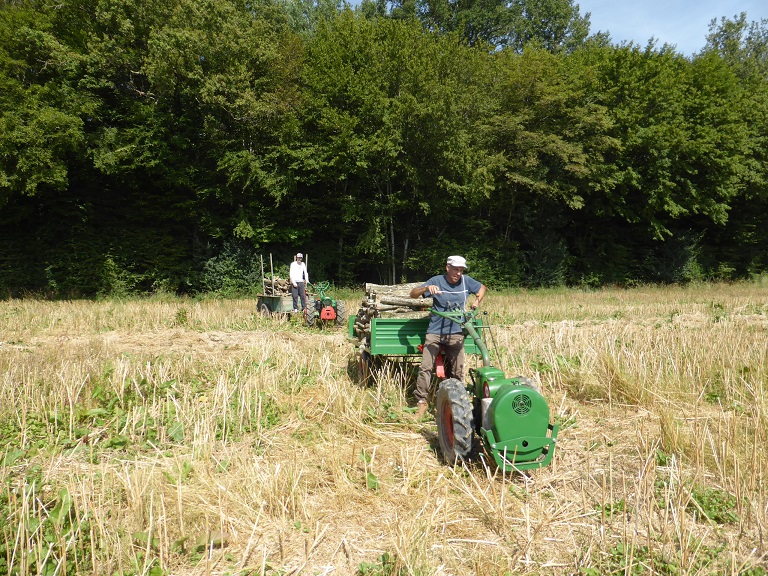 Que transportez-vous avec vos machines? 551551bois1