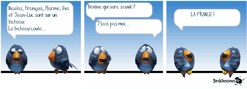 Les Birds Dessinés 555097631