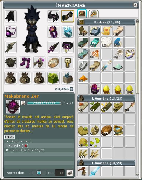 iSweaz de retour sur Wakfu !!! 556386Inventaire