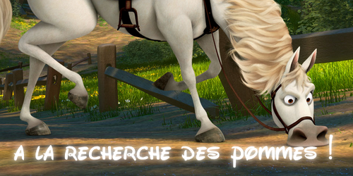 ♧ cadeau pour un cheval o/ 560943signamax