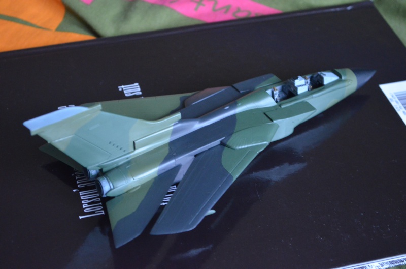 [Italeri] Tornado ECR [ Terminé ! ] - Page 2 561100DSC0218