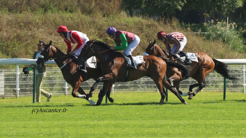 Photos Auteuil 24-09-2016 5720325J6A6870