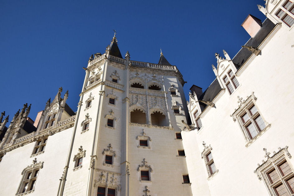 *chat* - Cour du château d'Anne de Bretagne 573522CopiedeDSC0277r