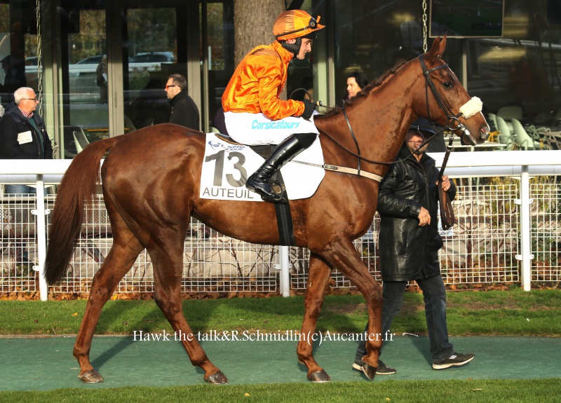 Photos Auteuil 19-11-2016  5764035J6A1335