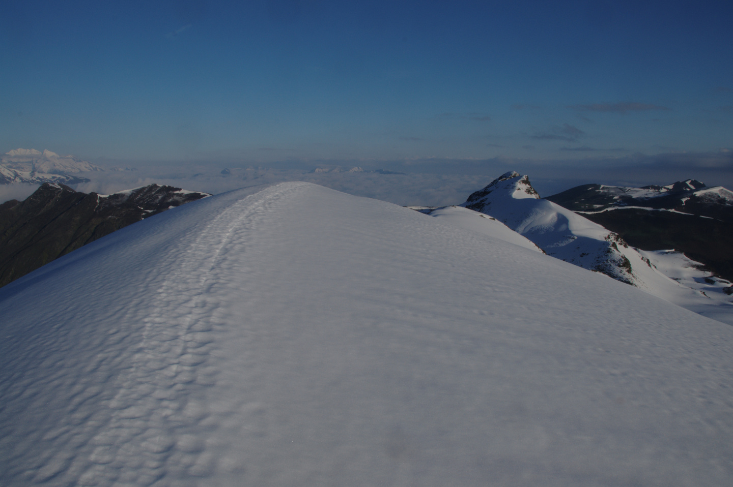 Une vie pyrénéenne de labrit des pyrénées - Page 20 58071641tramassel217