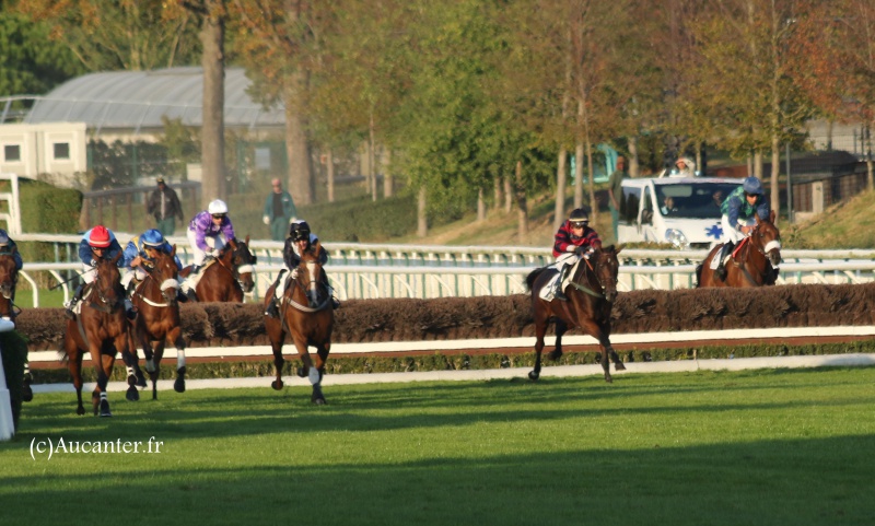 Photos Auteuil 9-10-2016 5837505J6A8225