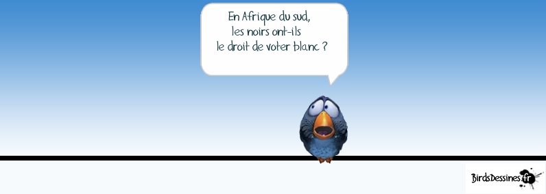 Les Birds Dessinés - Page 2 5900283409