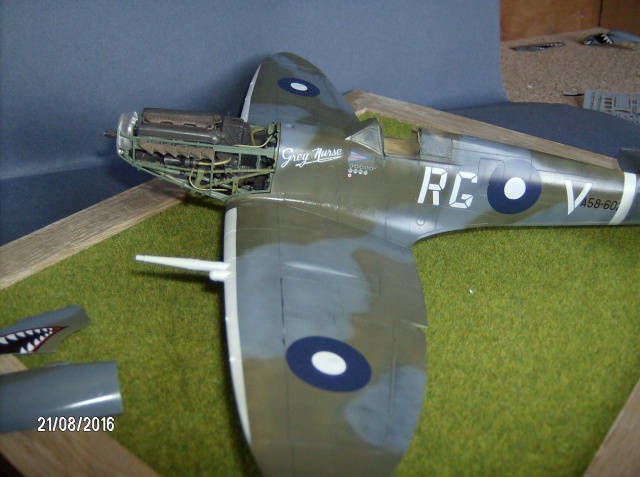 spitfire MK VIII "grey nurse" squadron 457 ,guerre du  pacifique 595291003
