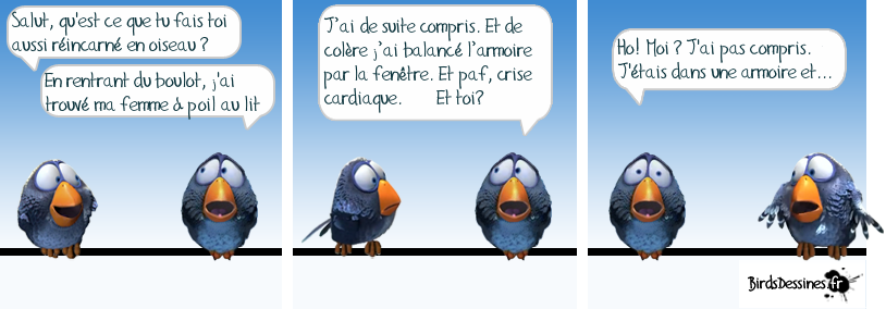 Les Birds Dessinés - Page 2 595838Armoir