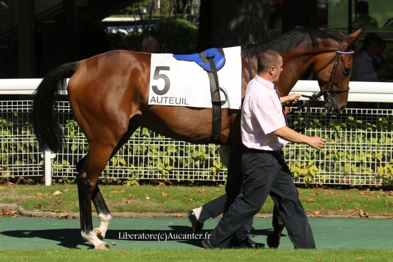 Photos Auteuil 24-09-2016 5972105J6A6805