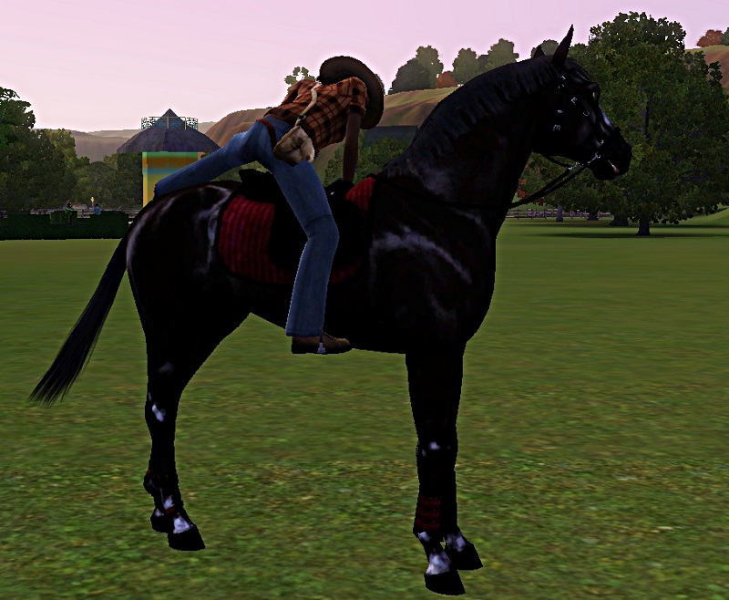 [Challenge] Teens and Horses "Sims 3" - Page 3 601372dumatinausoir