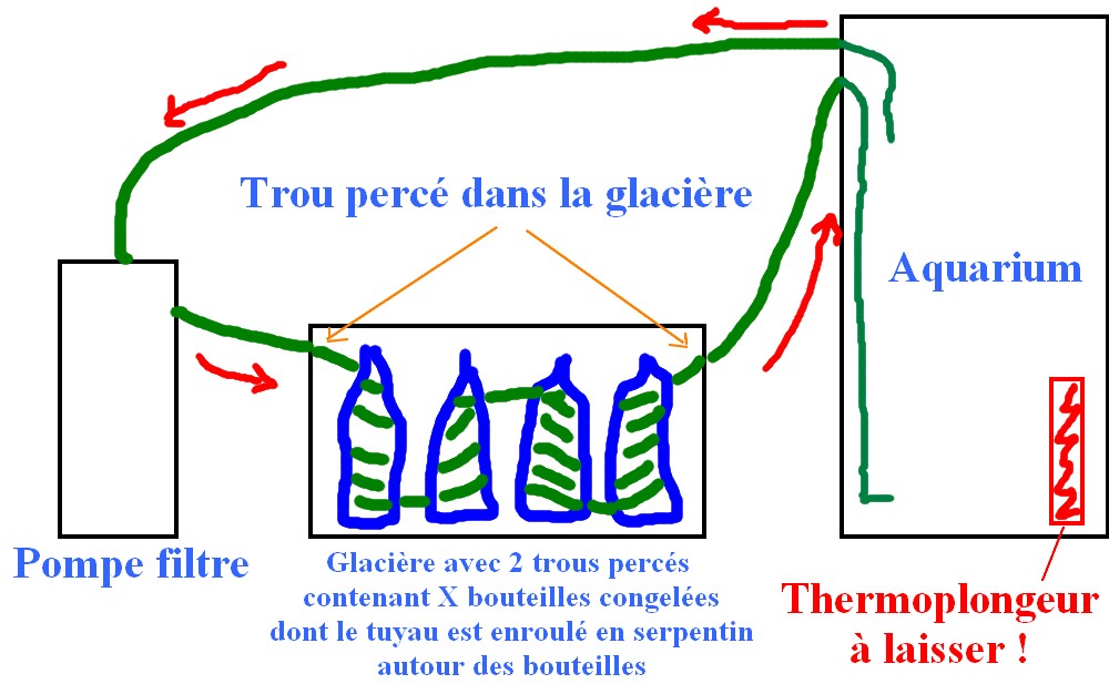 Casse sévère canicule 602890Sanstitre2