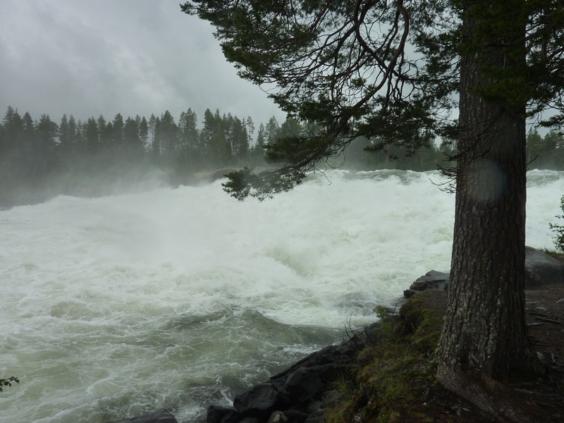 GRAND TOUR DE LA SCANDINAVIE EN 60 JOURS ET 12000 KMS FINLANDE 608678P1130013