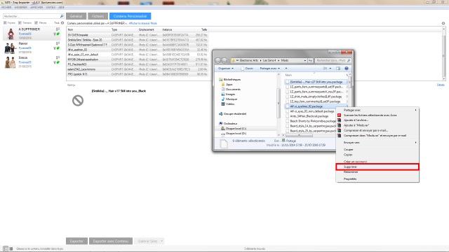 [Débutant] Supprimer facilement du jeu le contenu personnalisé dont on ne veut pas grâce à Sims 4 Tray Importer 615796Post6image4