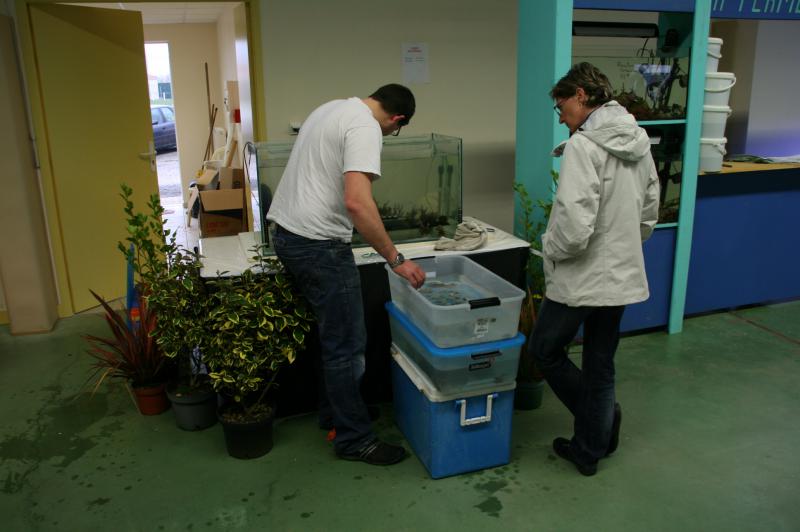 4ème Bourse aux poissons et coraux 620384IMG8235