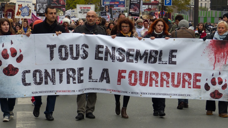 13 - Marche Contre La Fourrure - Paris 24 novembre 2012. 621321P1000800