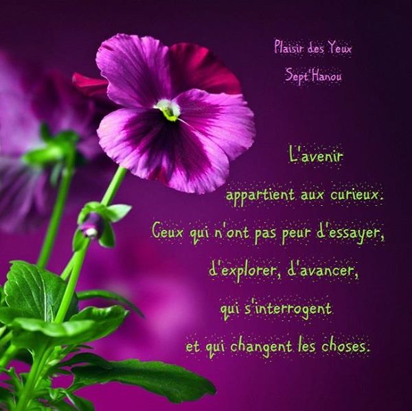 citation - une petite citation illustrée sur l'avenir de la part de Josiane 625373101712825584680742828351139820436831989148n