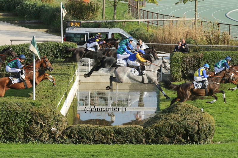 Photos Auteuil 9-10-2016 6299945J6A8027