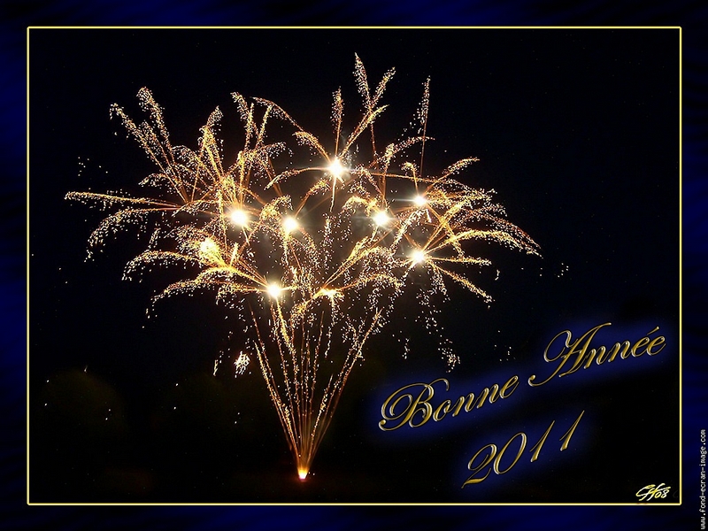 Bonne Année 2011 634844Bonneanne2011