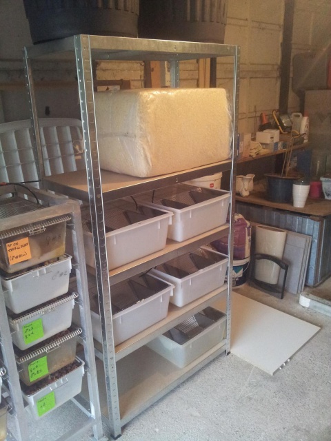 Extension racks rongeurs . 637971030