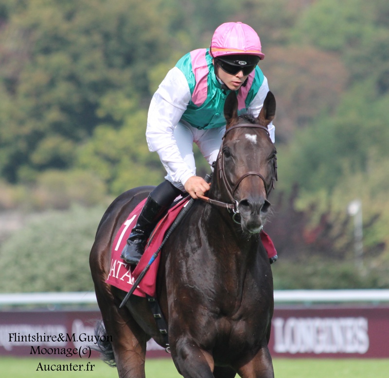 Flintshire, l'heure de la retraite 640720IMG3516