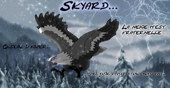 La Galerie de Skyard 642125SkyardSignature