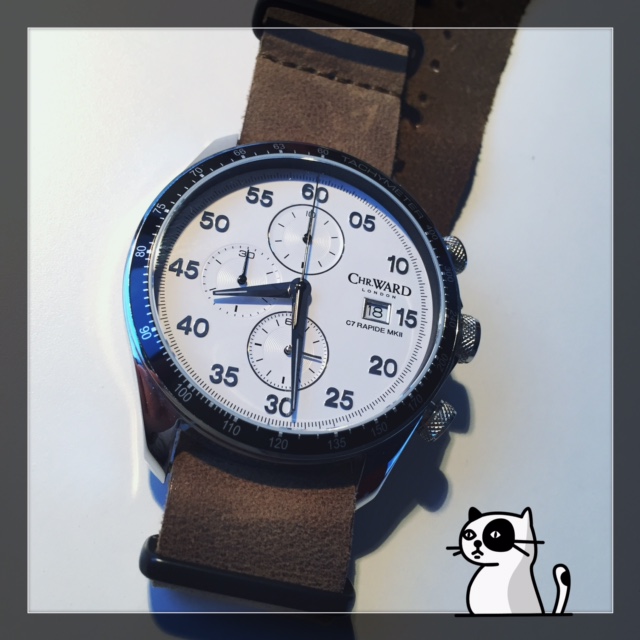 La montre du vendredi, le TGIF watch! - Page 24 642929C7MKII06