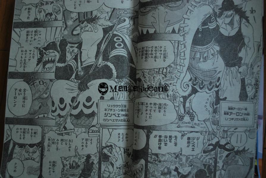 One Piece 621:Otohime and Tiger 646295DSC1257