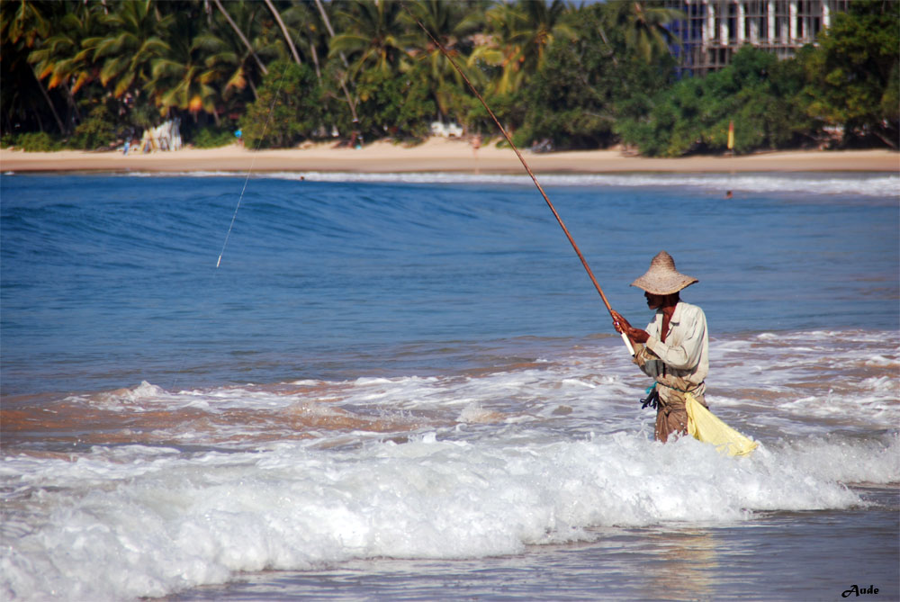 Voyage au Sri-Lanka 647647srilanka78