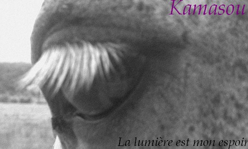 Kamasou // J. Clan de l'ombre 652807Kamasou