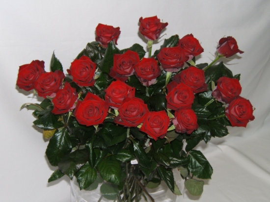 ذكرى ميلاد الاخت الغالية السعدية الجبلية (41) 661666rougeenbouquet