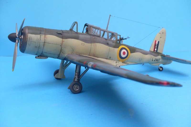 British WWII Birds over Seas #02: Blackburn Skua Mk. II (Special Hobby - 1/72ème) - Page 2 666801SDC16103