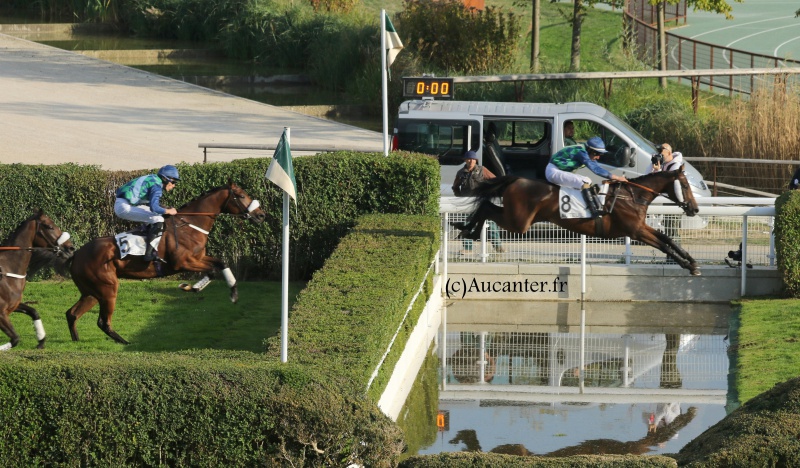 Photos Auteuil 9-10-2016 6716595J6A8019