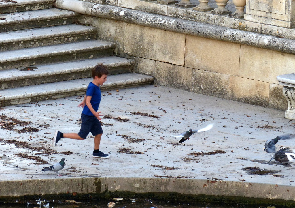 L'enfant et les pigeons 675183P1060481a