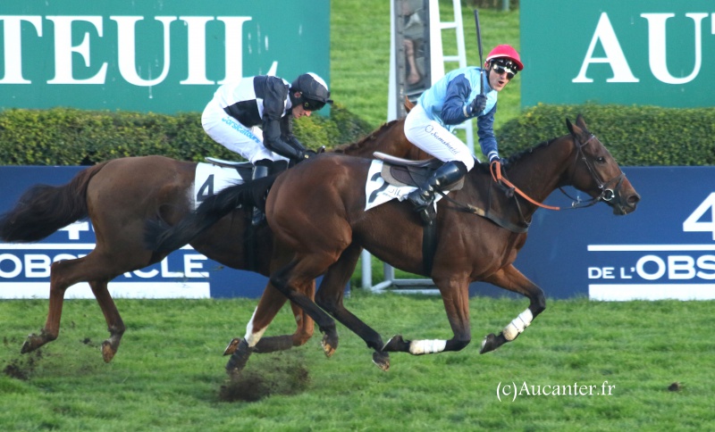 Prix La Haye Jousselin 2016 (St., Gr.I, Auteuil) 6-11 : Milord Thomas 6756395J6A0725