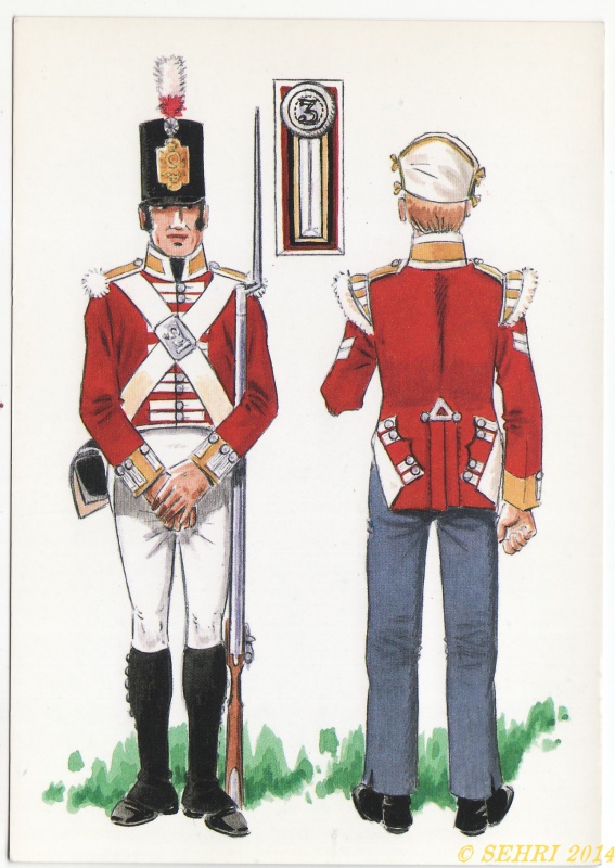 3e régiment d'infanterie Anglais en 1809 en Espagne 6778703ergimentdinfanteriedeligne