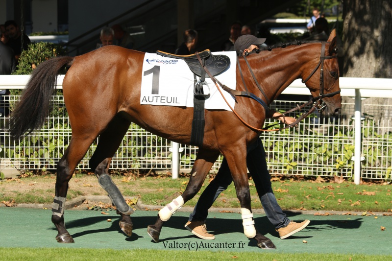 Photos Auteuil 24-09-2016 6797965J6A7005