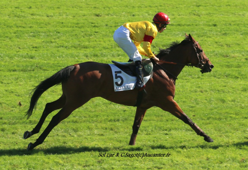 Photos Auteuil 24-09-2016 6801595J6A6948