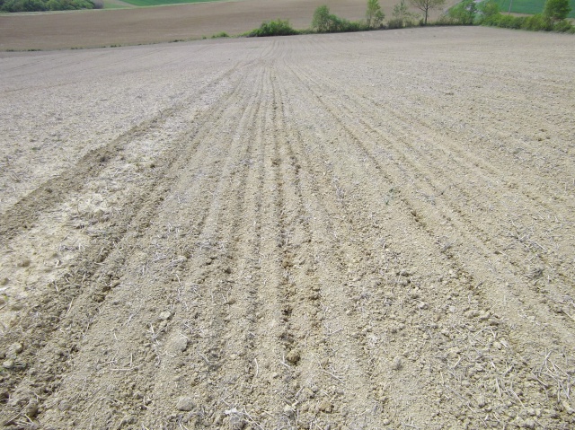 photo travail d automne pour semis de tournesol 687989Photosimportes00443