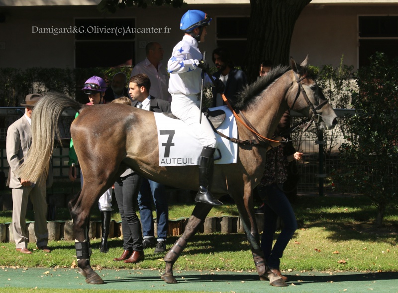 Photos Auteuil 24-09-2016 6901645J6A6829