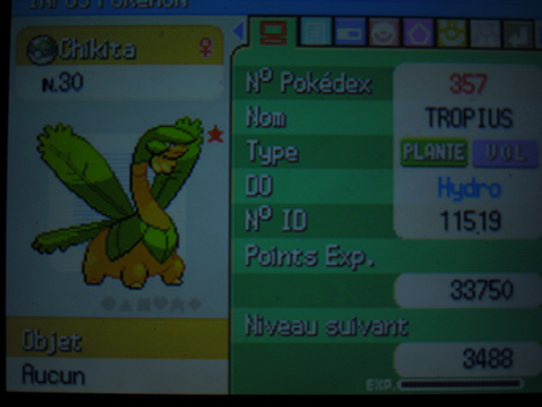 [ShinysHunters' Teams Cup n°8] Rapports et Classements   - Page 2 690276Tropius2